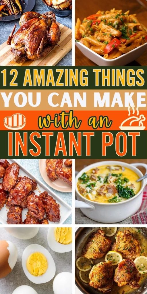 12 Amazing Things You can Make with an Instant Pot